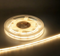 Bande LED blanche réglable chaud-froid 608 LED 10mm DC12V 5m, CRI 90+ double canal pour chambre et meuble TV