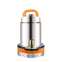 Pompe à eau solaire submersible 12V 24V 48V pour drainage des eaux usées, piscine, jardin, sous-sol inondé