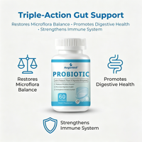 WELLBODY Vente en gros Capsules Probiotiques 3-en-1 pour la Santé Intestinale Fibres Prébiotiques Enzymes Digestives Restauration de la Microflore Intestinale