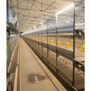 Bandejas de estiércol de limpieza rápida Platos básicos de agua Patio Asador diario Crianza Jaula de pollos de engorde de varios niveles de fácil cuidado - Product Image 1