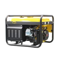 230V Zweiphasen-Benzingenerator, Hochwertiger Reinkupfermotor, 50/60HZ Generator