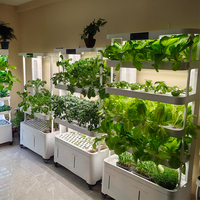 Kit de cuisine hydroponique, système de culture intérieur, mini jardin domestique avec éclairage LED pour la croissance des plantes