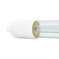 Lampe excimère haute performance 172nm idéale pour les applications avancées de traitement UV et de traitement de surface