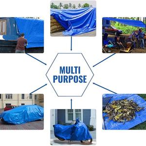 Lona de PVC Azul de 300 g/m², Tamaño Personalizado, Duradera, Hecha en China, para Uso en Exteriores - Product Image 5