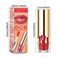 Prêt à expédier QICIY Ensemble de gloss à lèvres 6 couleurs Hydratant Non collant Léger Longue tenue Expédition rapide Faible MOQ Dropshipping