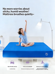가정, 호텔, 아파트용 쿨링 내구성 통기성 에어 매트리스 - 아기와 어린이를 위한 모던 디자인 - Product Image 6