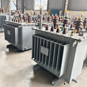 Transformador de Potencia de Alta Tensión Sumergido en Aceite de 35-750 kVA, de 13-35 kV a 800 V - Product Image 5