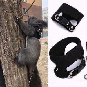 Accessoires pour petits animaux : Harnais de poitrine et laisse d'entraînement en forme de I pour écureuil démoniaque/hamster - Product Image 3