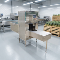 Industriële ananasschilmachine/fruitenschilmachine/meloenzaadmachine