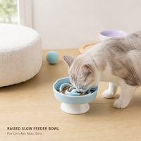 Gamelle surélevée en céramique pour animaux de compagnie, à bord large et peu profond, pour l'alimentation lente des chats et chiens, vente en gros, fournisseur OEM ODM