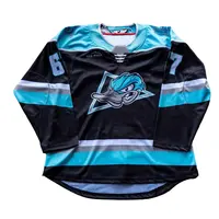 China Wholesale Cheap Funny Design 100% Polyester Team Hockey Jerseys -  China Ice Hockey Embroidery Jersey and Blank Hockey Jersey price