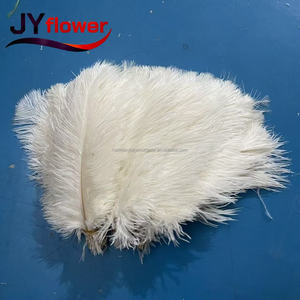 JY Venta al por Mayor <span class=keywords><strong>de</strong></span> Plumas <span class=keywords><strong>de</strong></span> Avestruz Realistas Hechas a Mano <span class=keywords><strong>de</strong></span> 60 cm <span class=keywords><strong>de</strong></span> Largo, Decoración <span class=keywords><strong>de</strong></span> Pared, Tela Natural <span class=keywords><strong>de</strong></span> Lujo, Plumas a Granel Baratas para Bodas, Día <span class=keywords><strong>de</strong></span> la Madre - Product Image 5