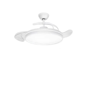 Ventilateur de plafond intelligent à économie d'énergie, ventilateur de plafond de luxe ultra large de 42 pouces, ventilateur de plafond pour pavillon intérieur - Product Image 1