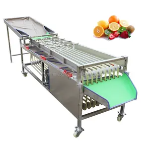 Máquina automática de clasificación de waxberry de acero inoxidable de alta calidad, equipo de clasificación de dátiles de frutas medianas y pequeñas