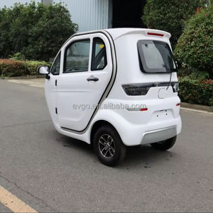 รถยนต์ไฟฟ้า 3 ล้อ สำหรับผู้ใหญ่ 1200W/2500W มินิอี-ไตรไซเคิล 60V58Ah ห้องโดยสารปิด ทนทุกสภาพอากาศ ได้รับการรับรองมาตรฐาน EEC รับน้ำหนักได้ 400 กก. มอเตอร์แบบไร้แปรงถ่าน DC - Product Image 3