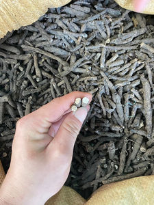 Xian Mao Atacado Preto Kali Curculigo Orchioides Raízes para Venda - Product Image 5