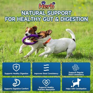 Golosinas Masticables Probióticas Naturales de Marca Privada OEM/ODM para Perros, para el Apoyo Intestinal e Inmunológico, Aptas para Todas las Razas - Product Image 3