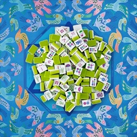 Ensemble de Mahjong américain de luxe avec 160 tuiles, jeu de Mahjong en acrylique gravé à 4 couches édition Oiseaux, Mahjong personnalisé de luxe pour les fêtes