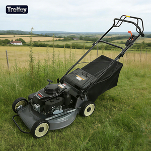 Cortacésped de Gasolina de Cuatro Tiempos, Motor Euro 5, Bajo Consumo de Combustible, Emisiones Reducidas para Zonas Residenciales Ecológicas - Product Image 1