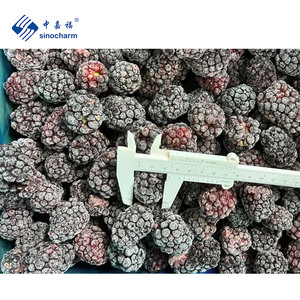 Sinocharm 90% черная ягода IQF, оптовая цена, целая замороженная ежевика по выгодным ценам - Product Image 3