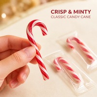 Bâtonnets de bonbons de Noël, bonbons durs à la menthe, mini-bonbons assortis aux saveurs de fruits, sac en vrac pour cadeau d'enfants