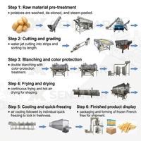 Ligne de production de frites personnalisable 3T/H, machines de transformation de pommes de terre à économie d'énergie