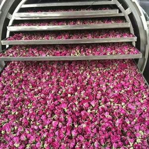 Máquina Liofilizadora Comercial para Frutas y Verduras, Secador al Vacío, Alimentos Liofilizados en Oferta - Product Image 6
