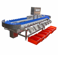 Conditie Kersen Bosbessen Fruit Sorteerder Draaitafel Weegt Screening Machine Zeevruchten Noot Separator Sorteerder Gram Screening Machine