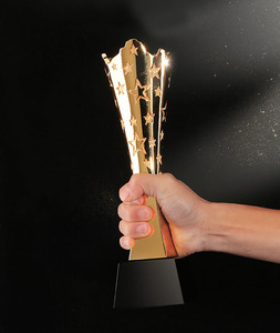 Trophées de récompense en métal en forme d'étoile pour réunion annuelle personnalisée, trophées de football, médailles en résine - Product Image 2