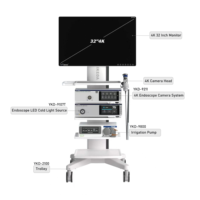 Système de caméra endoscopique IKEDA YKD-9002 ENT Full HD 1080P avec source de lumière LED et enregistrement vidéo