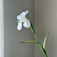 Bunga Iris Irlandia Buatan Batang Tunggal, Bunga Tiruan untuk Dekorasi Pernikahan, Dekorasi Rumah, Ruang Tamu, dan Dekorasi Pintu Masuk