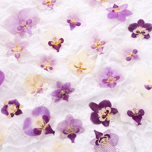Flores <span class=keywords><strong>de</strong></span> Orquídea Prensadas Elegantes para Arte en Resina, Orquídeas Púrpuras Naturales al por Mayor para Manualidades, Fundas <span class=keywords><strong>de</strong></span> Teléfono con Resina Epoxi - Product Image 6