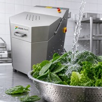 RVS Saladeslinger Fruit- en Groentespinner Centrifugale Droger Ontwateringsmachine Groentedroger