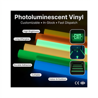 Película de vinilo fotoluminiscente personalizada, cinta oscura con brillo luminoso de 6 horas, Material reflectante para almacenamiento de luz visible durante el día