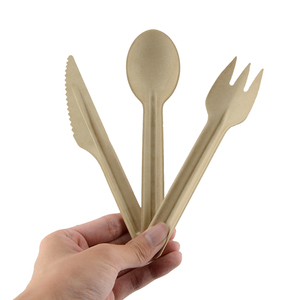 100% Composteerbaar Bestek Biologisch Afbreekbaar Gebruiksvoorwerpen Wegwerp Bagasse Lepel Vork Mes <span class=keywords><strong>Set</strong></span> - Product Image 1
