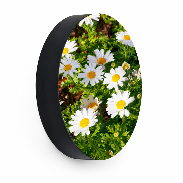 Waterproof P2 Indoor Round LED Display Circular LED Sign Board for Restaurant Shop Advertising Logo Display WiFi Control HD