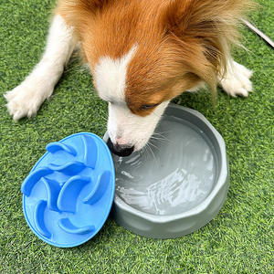 Hot-selling Practical maze design BPA-free easy to clean BPA-free anti-suffocation slow food silicone pet <b>bowl</b> - Product Image 5