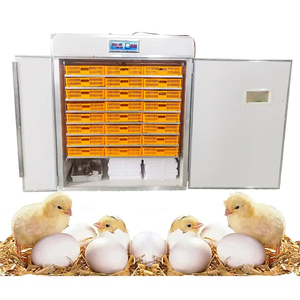 Incubateurs électriques entièrement automatiques pour l'éclosion des œufs, plateaux d'incubation pour œufs de caille et de poulet - Product Image 2