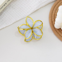 Pince à cheveux en plastique motif floral dégradé Plumeria, finition dorée, effet gelée laiteuse, pour femme, usage quotidien et accessoire de vacances