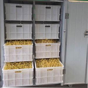 آلة إنبات بذور العشب للحيوانات، آلة إنبات الشعير والفاصوليا، آلة زراعة براعم فول الصويا - Product Image 5