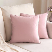 Housse de coussin de canapé de salon de luxe personnalisable en velours néerlandais uni, style nordique, avec bordure et support lombaire
