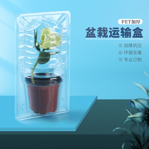 Boîte d'emballage pour plantes en pot Hst Pet, diamètre intérieur 245 mm, emballage en blister transparent en plastique pour fleurs et semis - Product Image 2