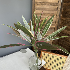 Plante artificielle Cordyline Fruticosa Jinxi 80cm, bord rose, caoutchouc souple, décoration intérieure pour mariage et maison - Product Image 1
