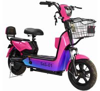 Scooter électrique MTBGO 48V 350W, pneus à vide de 14 pouces, 2 places, véhicule électrique, vélo électrique pour adultes