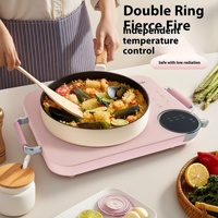 2025 nouveau poêle en céramique électrique haut de gamme 3500W cuisinière de cuisine multifonctionnelle haute puissance avec fonction Hotpot pour un usage domestique