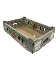 Boîte d'expédition de fruits d'avocat en carton ondulé avec logo imprimé personnalisé en gros Boîte d'emballage de fruits à plateau robuste de 4 kg
