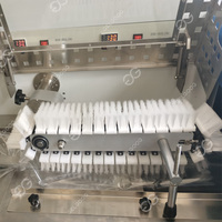 Dates rouges à grande vitesse automatiques ensachant la machine de conditionnement horizontale pour les dates rouges