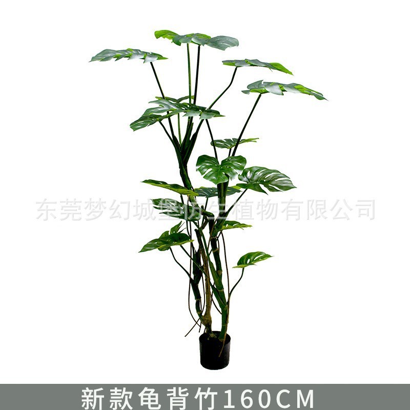 Monstera deliciosa de forêt tropicale, 160 cm (livré avec base noire)