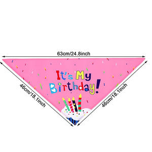 יצרן סיטונאי סט קישוט יום הולדת לכלב ורוד כחול כובע בלון בנדנה דגל כלב עניבת פרפר ציוד למסיבת יום הולדת לחיות מחמד - Product Image 3