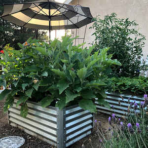 Lits <span class=keywords><strong>de</strong></span> <span class=keywords><strong>jardin</strong></span> surélevés en métal avec cages à tomates, jardinière modulaire pour patio, arrière-cour, légumes et herbes (ovale) - Product Image 4